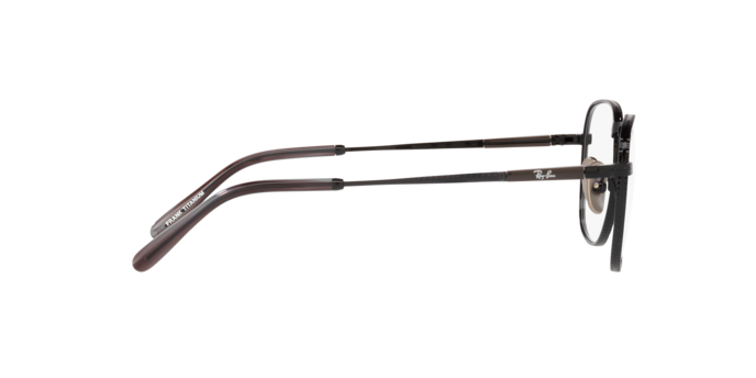 Ray-Ban RX8258V 1237 Frank Titanium 